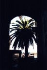 Volta e palma