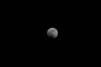 Konica Minolta Dynax 5D
Focal Lenght 300 mm
1/1250 sec - F/5.6