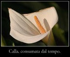 Critiche e commenti sempre ben accetti.