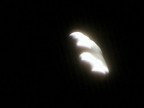 immagine scattata durante l'eclisse