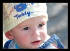 Sweet Teddy