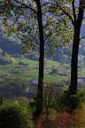 cartolina casalinga