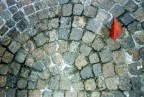 passa la primavera, passa l'estate e ancora una volta arriva l'autunno con i suoi contrasti tra colori caldi, foglie che cadono ed alberi che si spogliano... contrasti tra forme della natura e goemetrie disegnate dall'uomo...