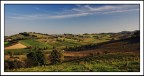 La culla del Sangiovese...