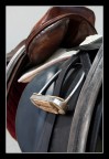 saddle