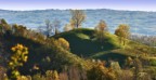 Colline