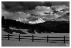 Engadine