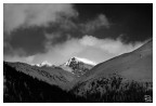 Engadine