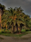 Fogliano Latina - 2