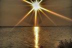 Sole