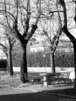 Scorcio autunnale di un cortile di paese

Programma manuale Nikon Coolpix 4300
Tempo: 1/250 sec.
F: 3.8
ISO: 100
Lunghezza focale: 15.3mm