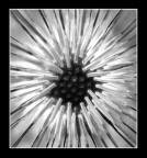 Explosion