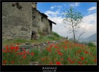Barmaz