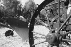 Minolta Dynax 5D esposizione a priorit di diaframmi 1/320, F5,6, iso 100; bilanciamento del bianco manuale a luce diurna; lunghezza focale 70 mm (eq. a 105)