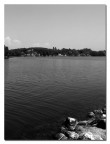 Lago di Sabaudia (LT)