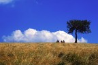 La mia prima Provia 100F (per di pi regalata!) su F80 e il 50 fisso.
Uscita fotografica sulle montagne dell'Alta Val Parma.

Suggerimenti e critiche sempre ben accetti