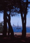 All'ombra di una pineta che si affaccia sul mare in una calda giornata d'agosto...

Suggerimenti e critiche sempre ben accetti