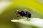 Prova di macro 1