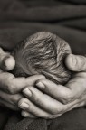 la forza della vita