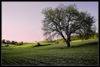 A little sunset...