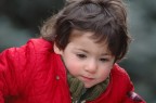 Claudia 5