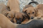 che occhi, hanno un'anima enorme