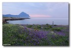 Paradiso Terrestre   &quot;San Vito Lo Capo&quot;