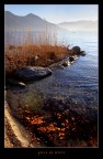 gocce di colore