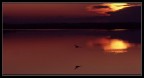 Volo al tramonto