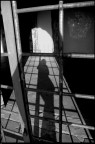 La mia ombra fra le sbarre e la ragnatela..