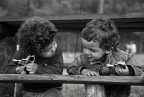 discussioni