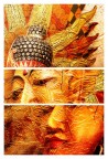 Shiva #2