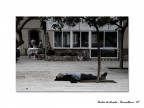 Ogni commenti  ben accetto.
Se poi volete vedere l'intero portfolio andate qui:
http://www.photo4u.it/viewtopicnews.php?t=190789