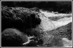 Dancing water ...