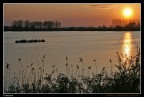 Tramonti