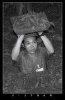 viet-cong...