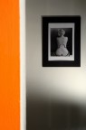 L'illuminazione  ottenuta con uno faretto spot da 200 watt puntato dal basso verso l'alto sulla foto e un faretto spot da 600 watt puntato su un pannello riflettente posizionato in modo da illuminare la fascia di muro arancione.
La foto  stata scattata con la solita Minolta Dynax 5D in qualit RAW facendo uso di un cavalletto manfrotto. Impostazioni fotocamera a priorit di diaframmi con F25 e tempo di scatto di 1/5 con una sensibilit di 200 iso. La lunghezza focale  stata di 135mm (eq.202mm).