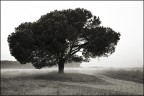 Primo mattino 2
