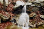 autunno