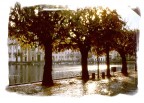 lungofiume di lucerna