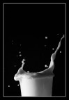 Progetto glass: n8