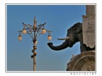 postata l'altro ieri, ma ho cercato di rimuovere l'alone bianco intorno all'elefante (comunque la vecchia  consultabile nella mia galleria)... sempre leggero HDR.

Commenti/critiche ben accetti.