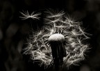 separazione