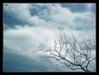 quasi fotografia