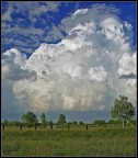 La forza della natura
