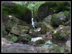 il fiume d'oro