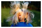 Hair Explosion