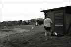 Irlandese 2