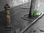 Angolo di una strada