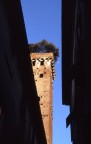 Aopiutatemi a migliorare le mie foto!